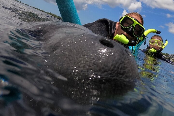 VIP Private Boat Manatee Snorkel Tour with In-Water Guide and Photograper - Photo 1 of 6